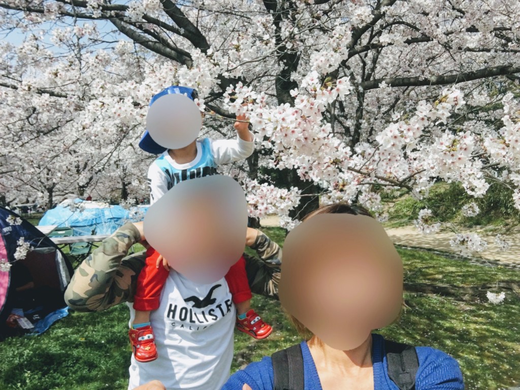 福岡の舞鶴公園に子連れで花見に行って家族で桜と写ってる画像