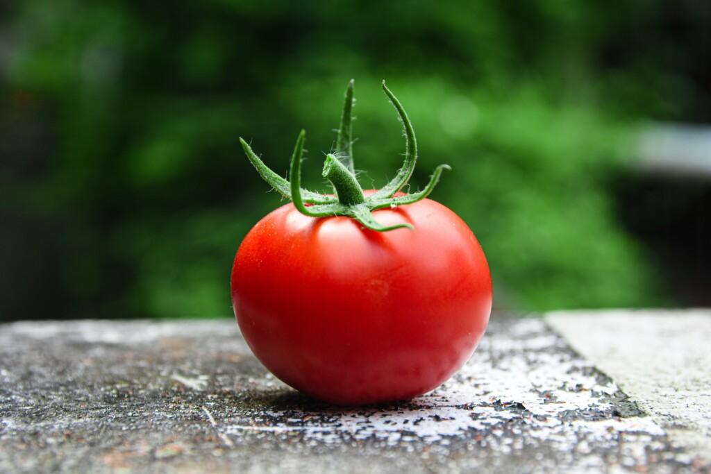 京本大我好きな食べ物トマトの画像